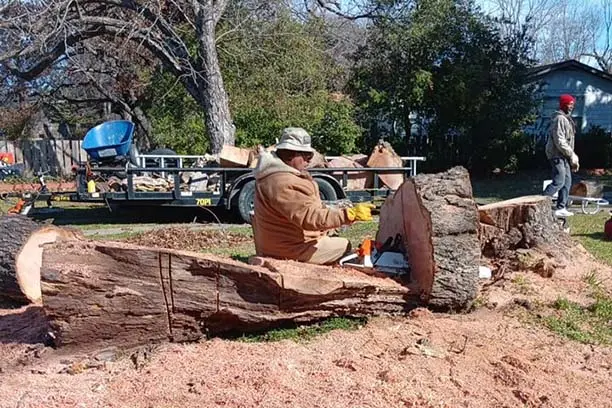Stump Grinding
