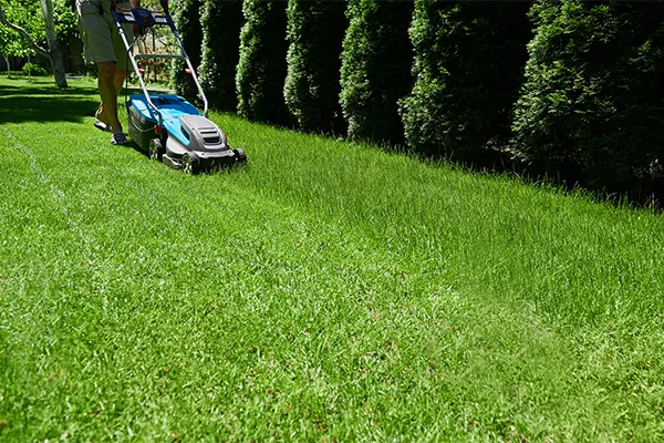 Lawn Care